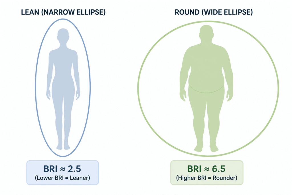 Body-Roundness-Index-(BRI)-fig