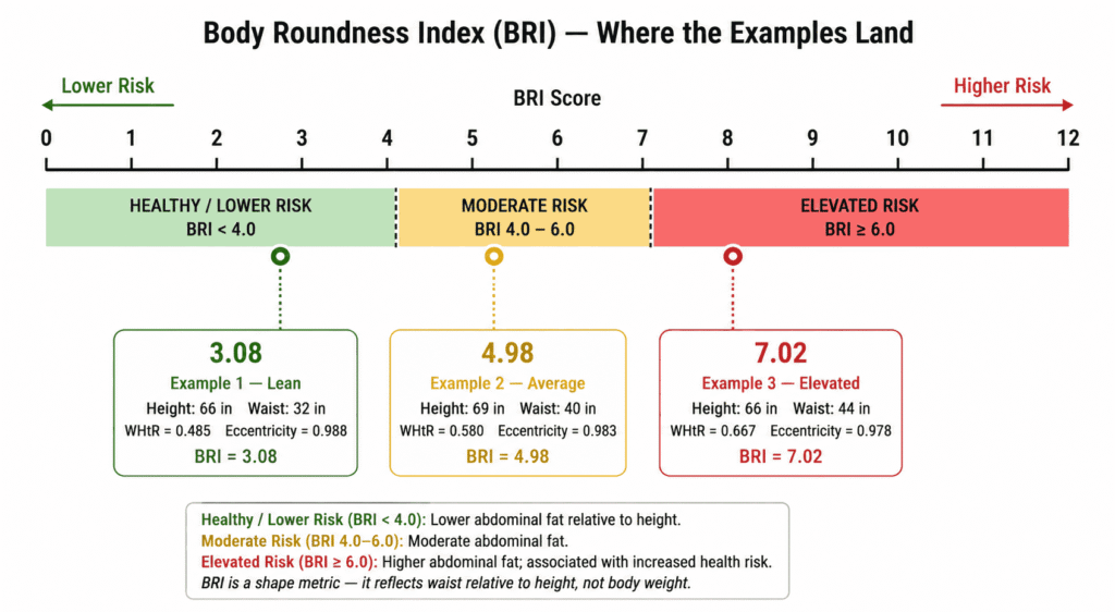 Body-Roundness-Index-(BRI)-fig (2
)