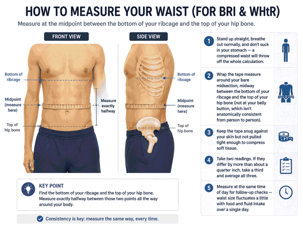 How-to-Measure-Your-Waist-Correctly