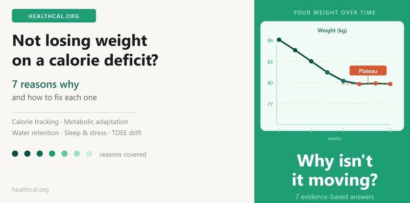 Not Losing Weight on a Calorie Deficit? 7 Reasons Why (And How to Fix Each One)
