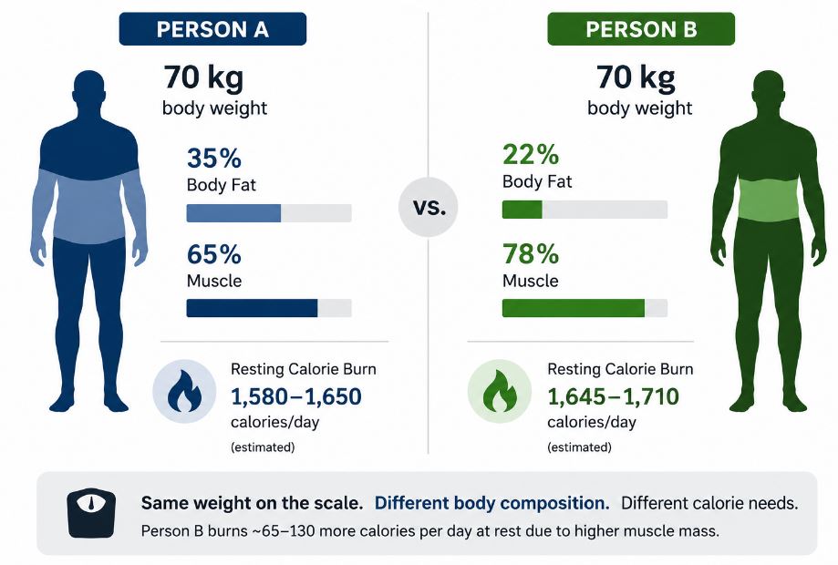 The-5-Factors-That-Determine-Your-Calorie-Needs