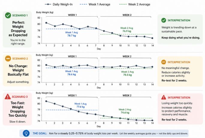 body weight weekly average trend chart simple infographic two weeks
